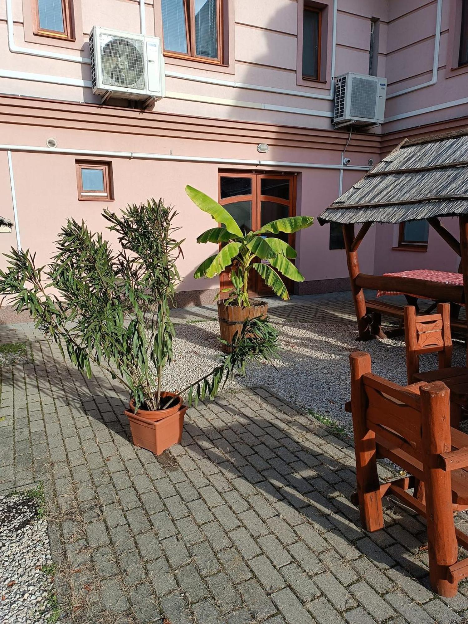 Bed and Breakfast Malom Panzio à Kiskunfélegyháza Extérieur photo